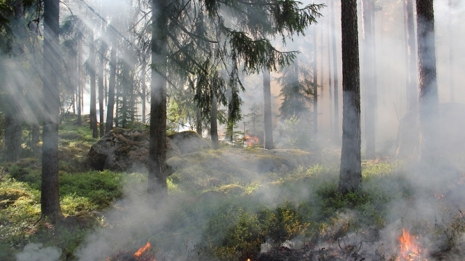 Wegen Waldbrandgefahr: Luftbeobachtung auch im Allgäu | AllgäuHIT