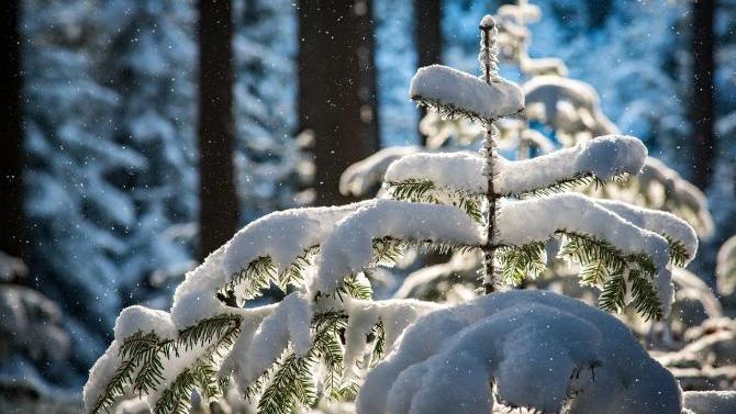 Schnee und deutliche Minusgrade ab dem Wochenende im Allgäu | AllgäuHIT
