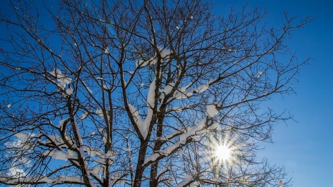 Spätwinterliche Kälte am vergangenen Wochenende - Aussicht auf Besserung ab Donnerstag | AllgäuHIT